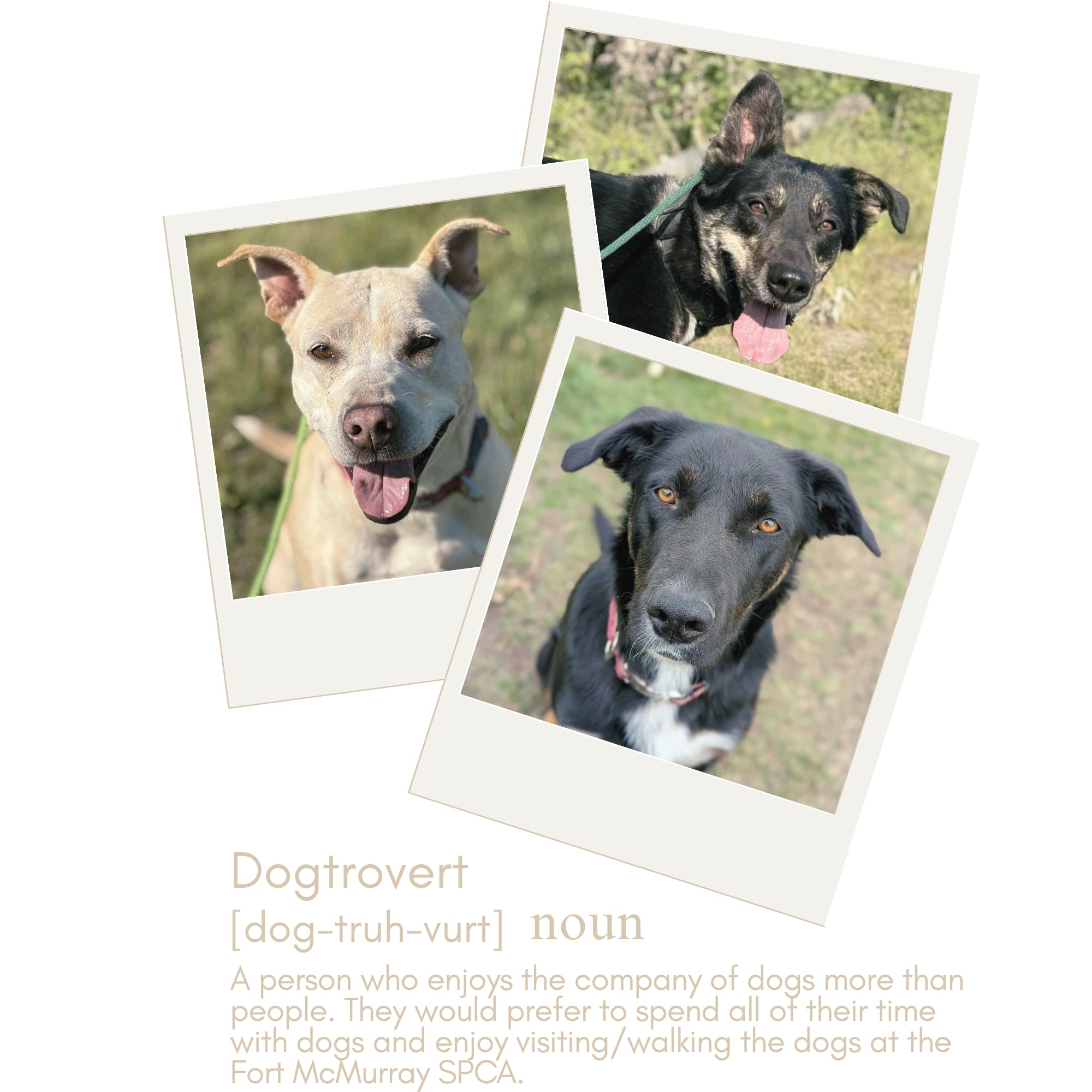 Dogtrovert Heavy Blend Unisex Zip Hoodie